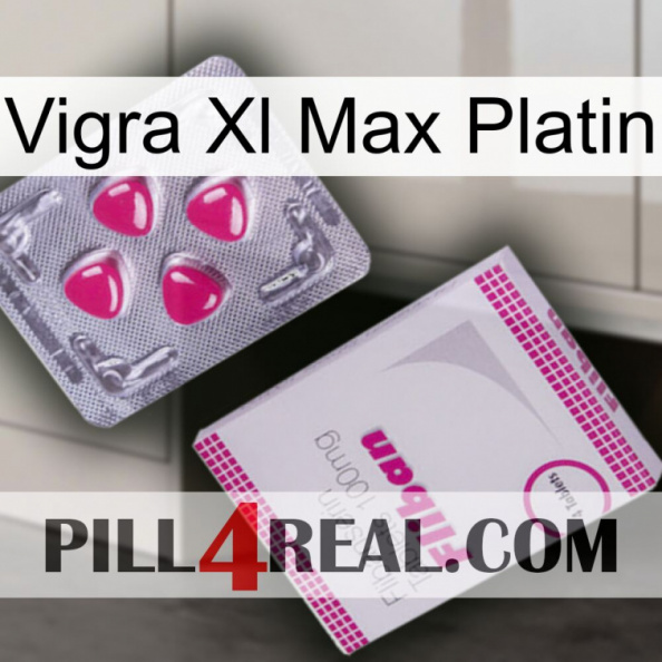 Vigra Xl Max Platinum 32.jpg